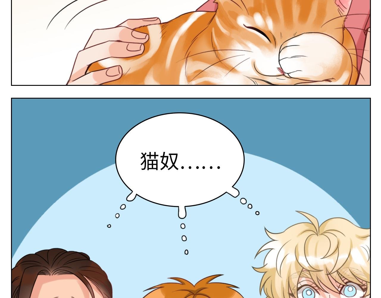 猫奴