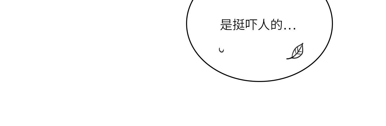 后知后觉的叶子哥