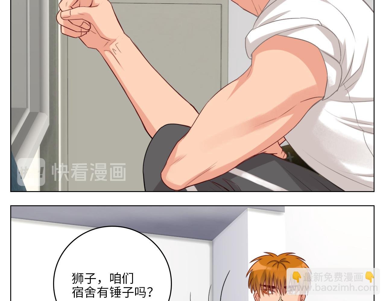 日常整狮子