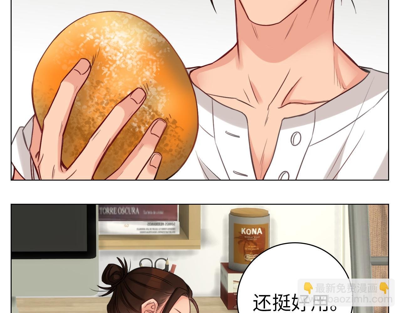 日常整狮子
