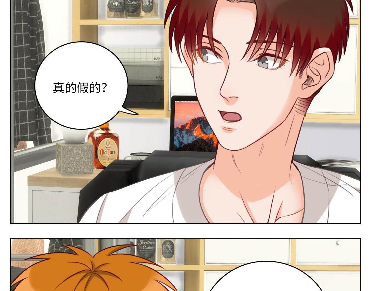 日常整狮子