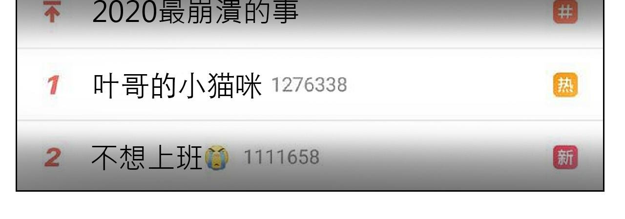 失眠的叶子