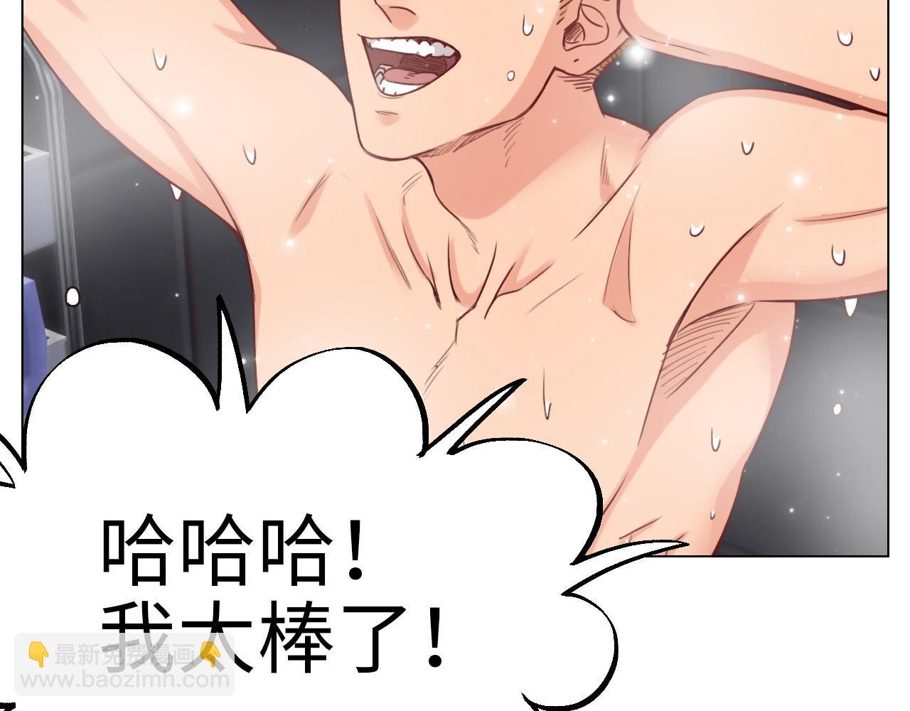 失眠的叶子