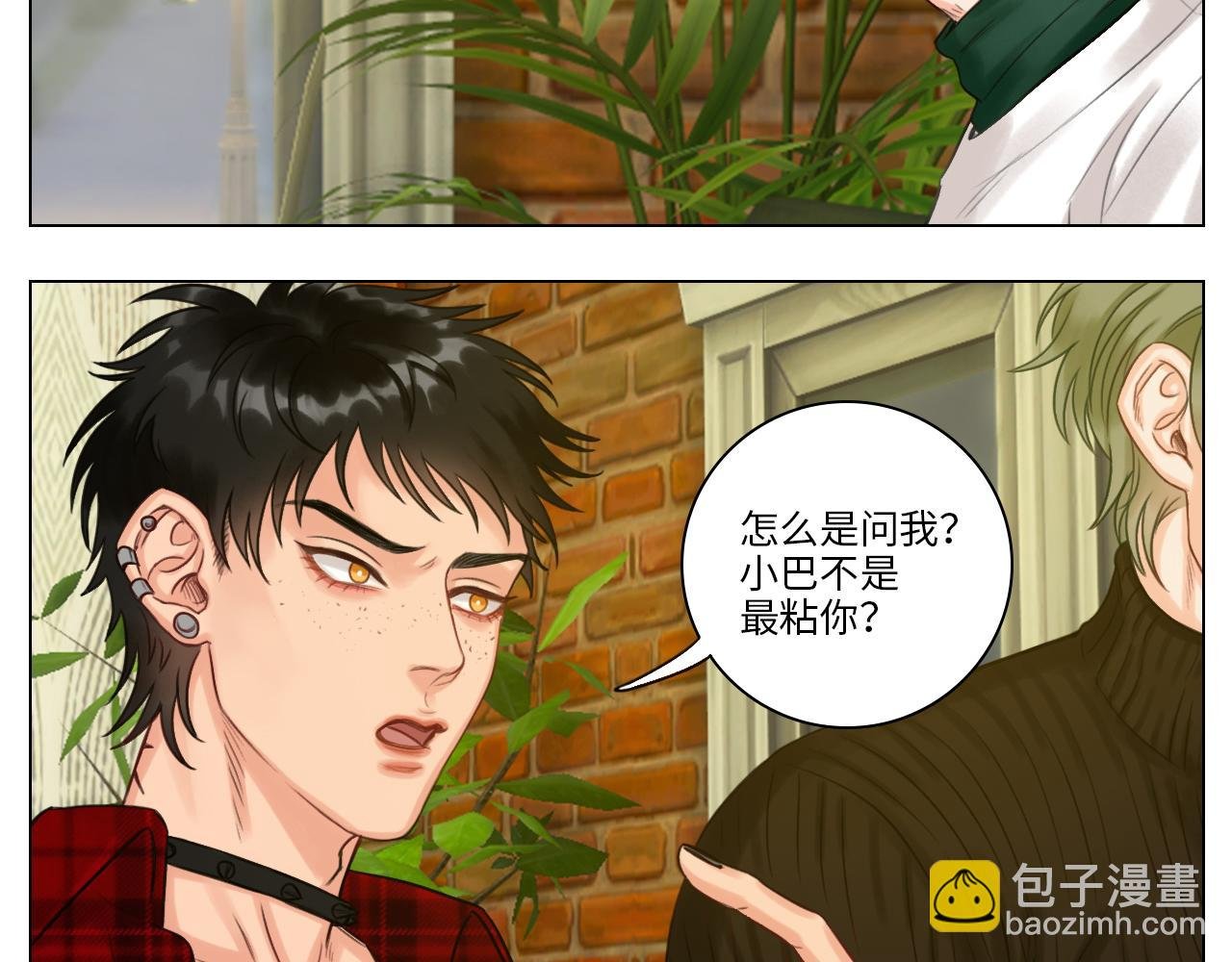 叶子的烦恼