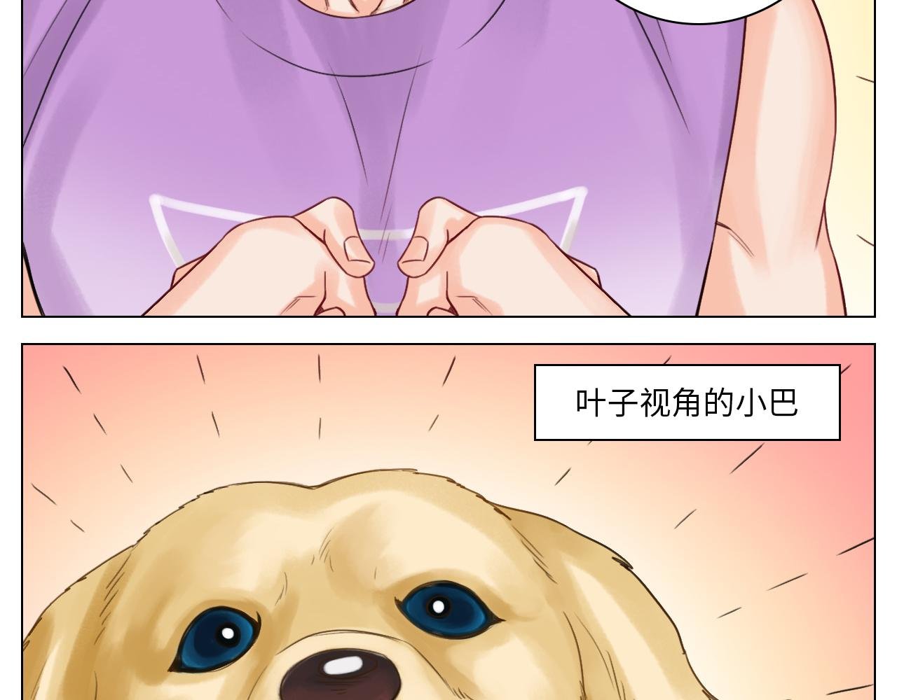 养狗现场