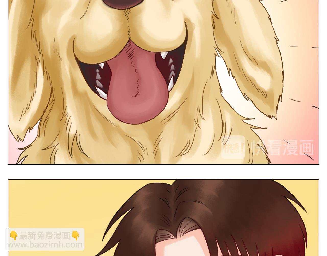 养狗现场
