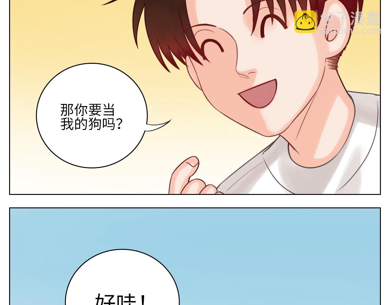 养狗现场