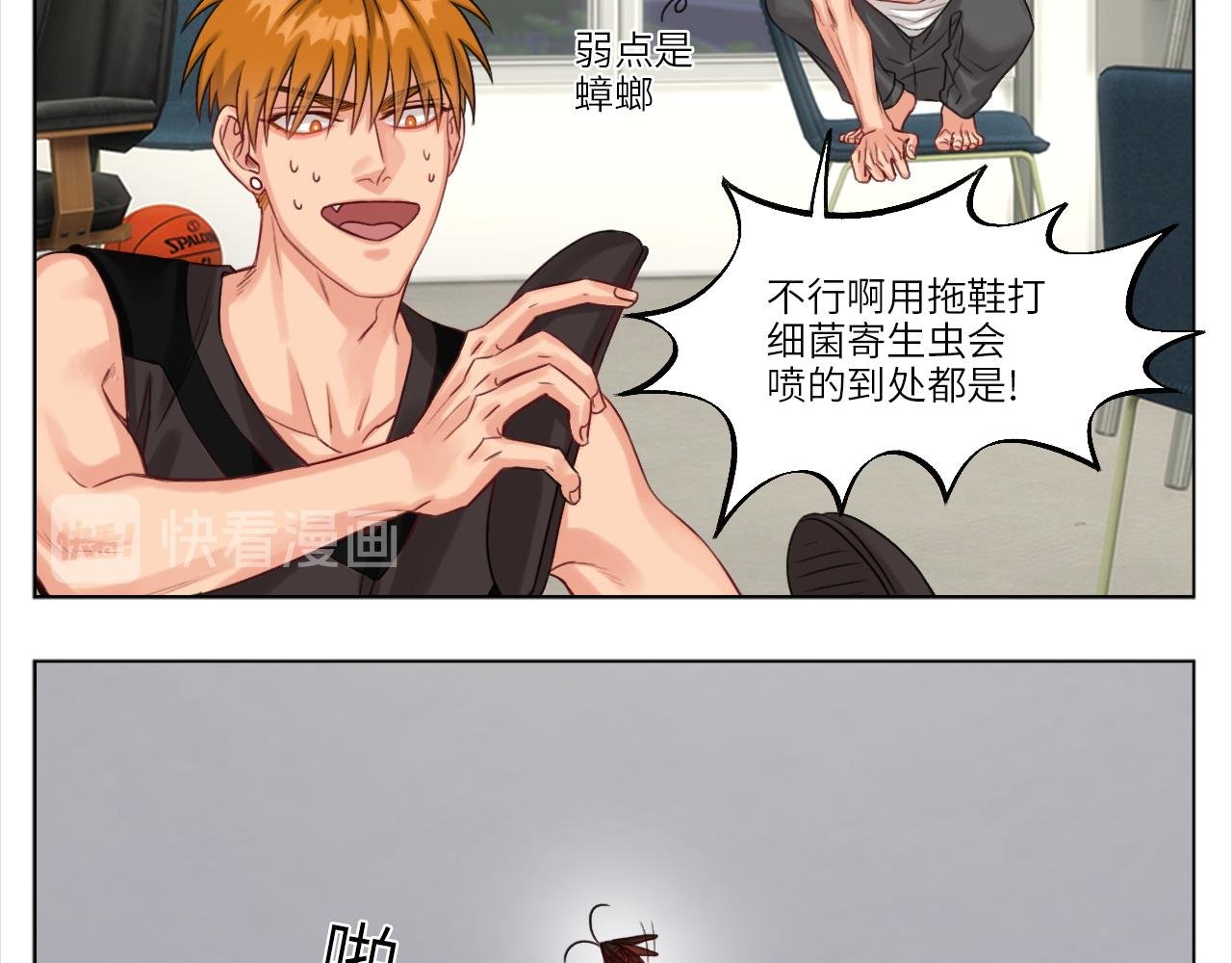 叶子哥的狗被欺负了！