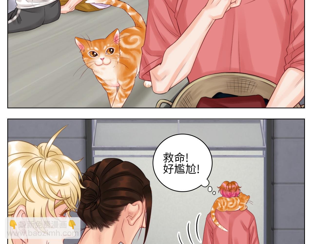 机智的小巴