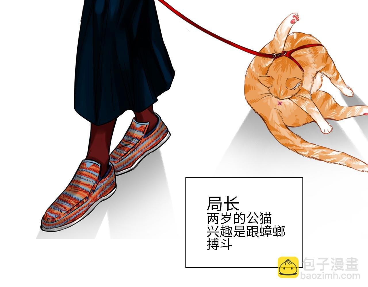 机智的小巴