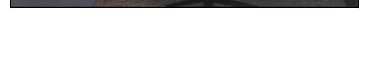 楚晏不在的第四天