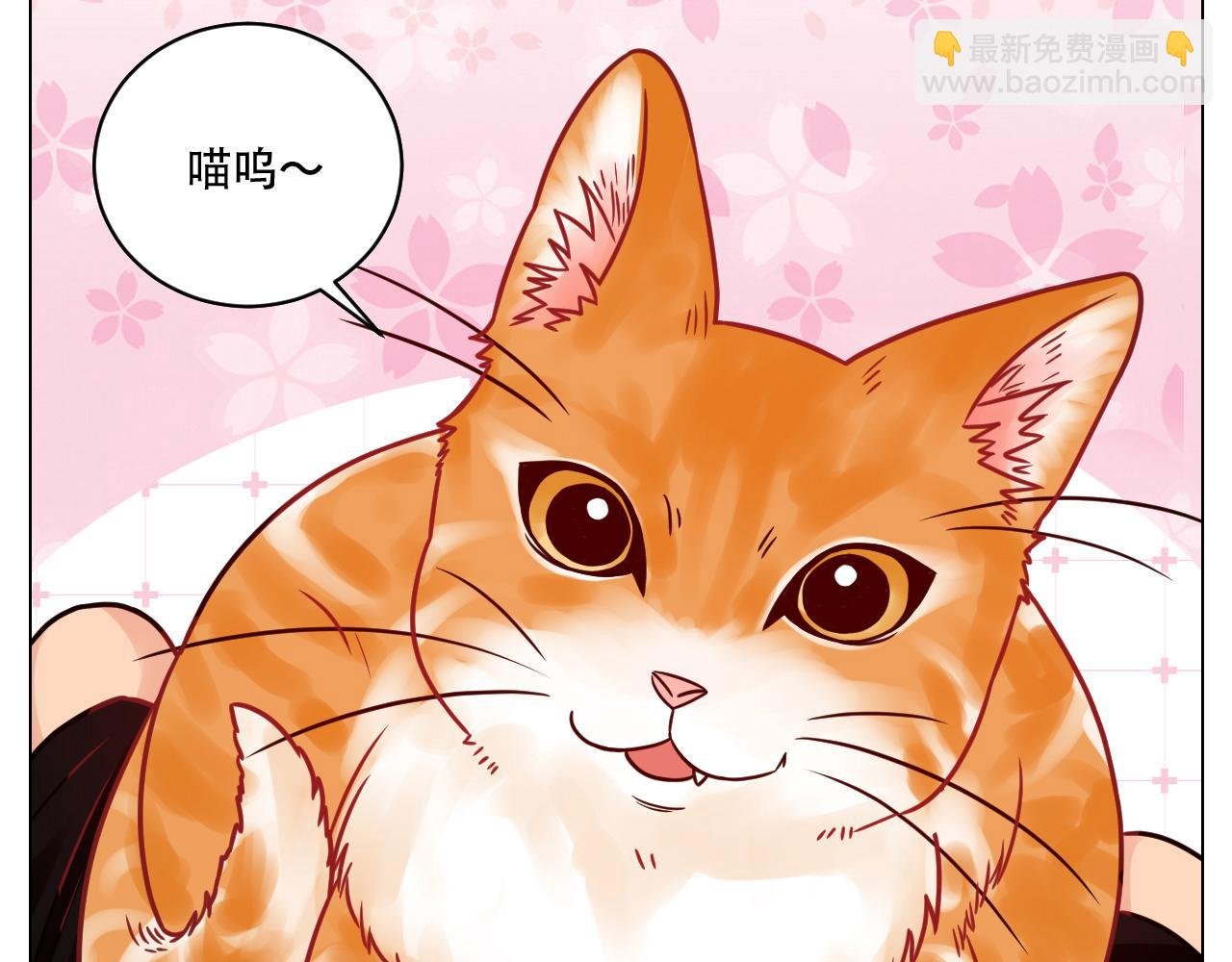 阿晏的属性又增加了！