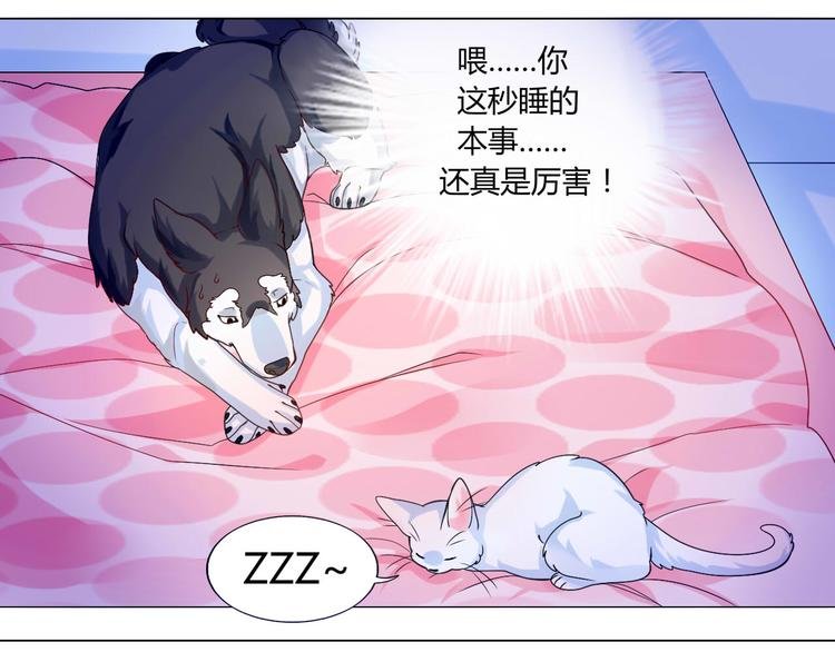第6话 一有机会就下手！
