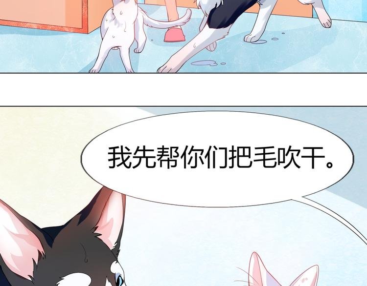 第5话 我才不要你们保护呢！