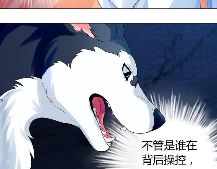 第5话 我才不要你们保护呢！