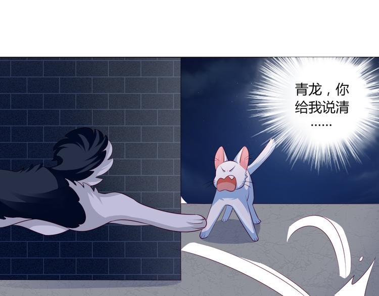 第13话 别怕，我们来保护你