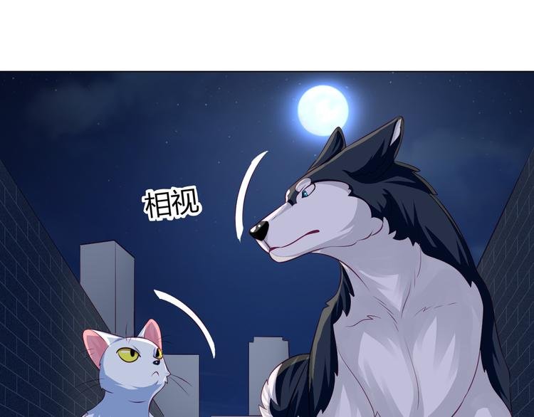 第13话 别怕，我们来保护你