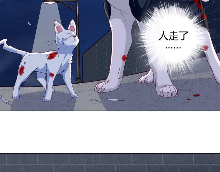 第13话 别怕，我们来保护你