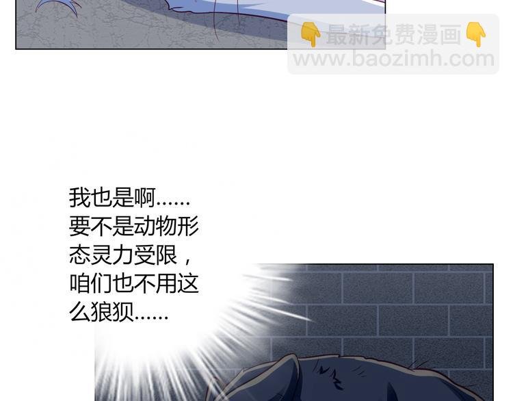 第13话 别怕，我们来保护你
