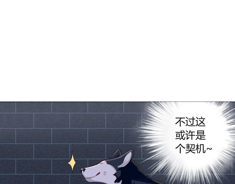 第13话 别怕，我们来保护你