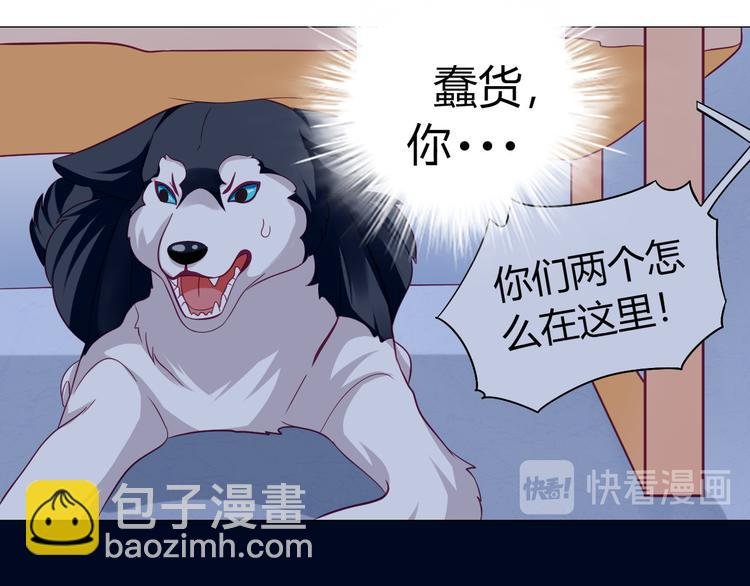 第10话 大家都怎么了？
