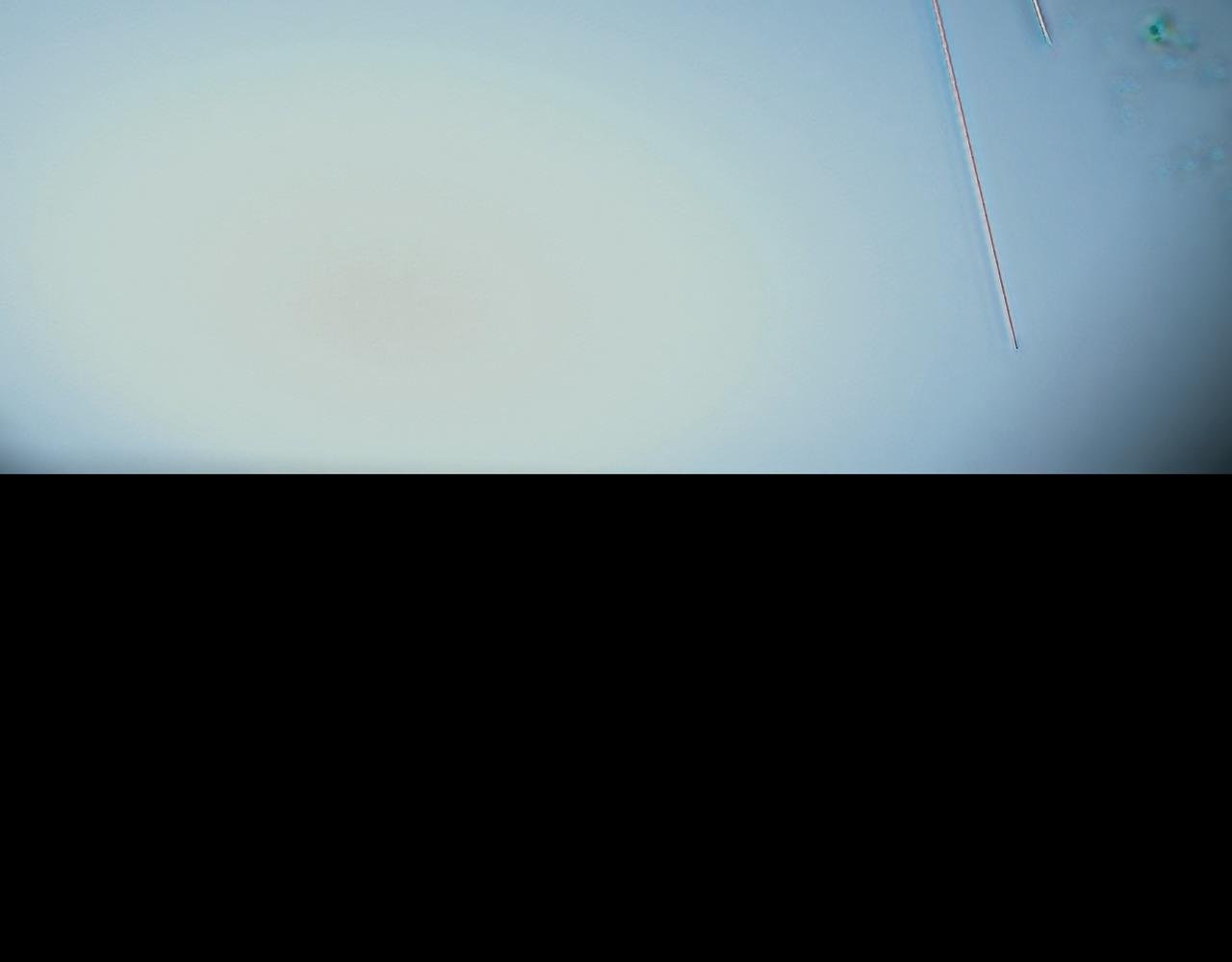 第11话 登陆蔚蓝