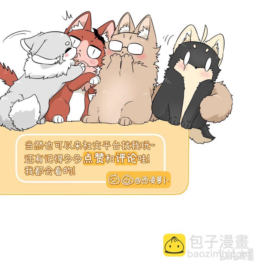 104 你到底喜欢谁？