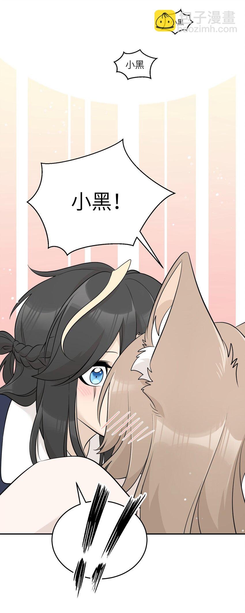 120 大猫猫！
