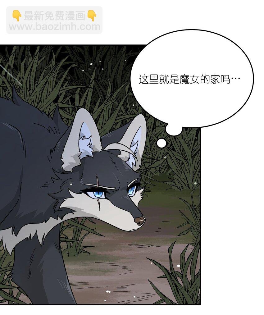 特别篇 猎人与狼：高赏金的委托
