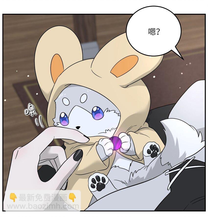 特别篇 猎人与狼：高赏金的委托