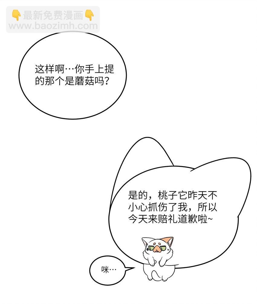 146 朋友……（含联动抽奖）
