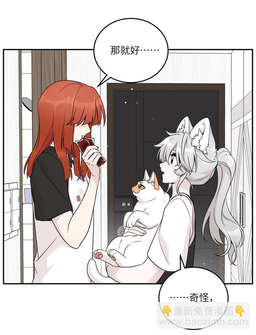 146 朋友……（含联动抽奖）