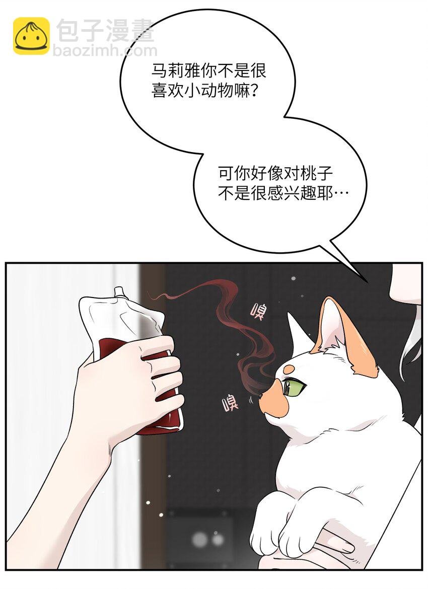 146 朋友……（含联动抽奖）