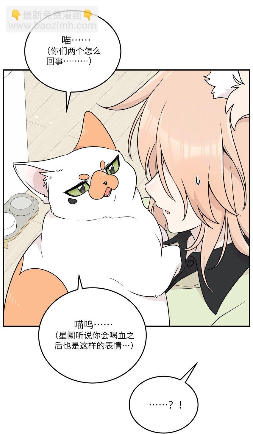 146 朋友……（含联动抽奖）