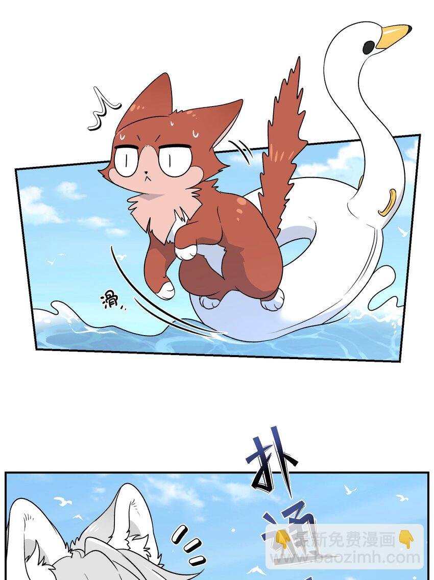 157 抵达海岛！