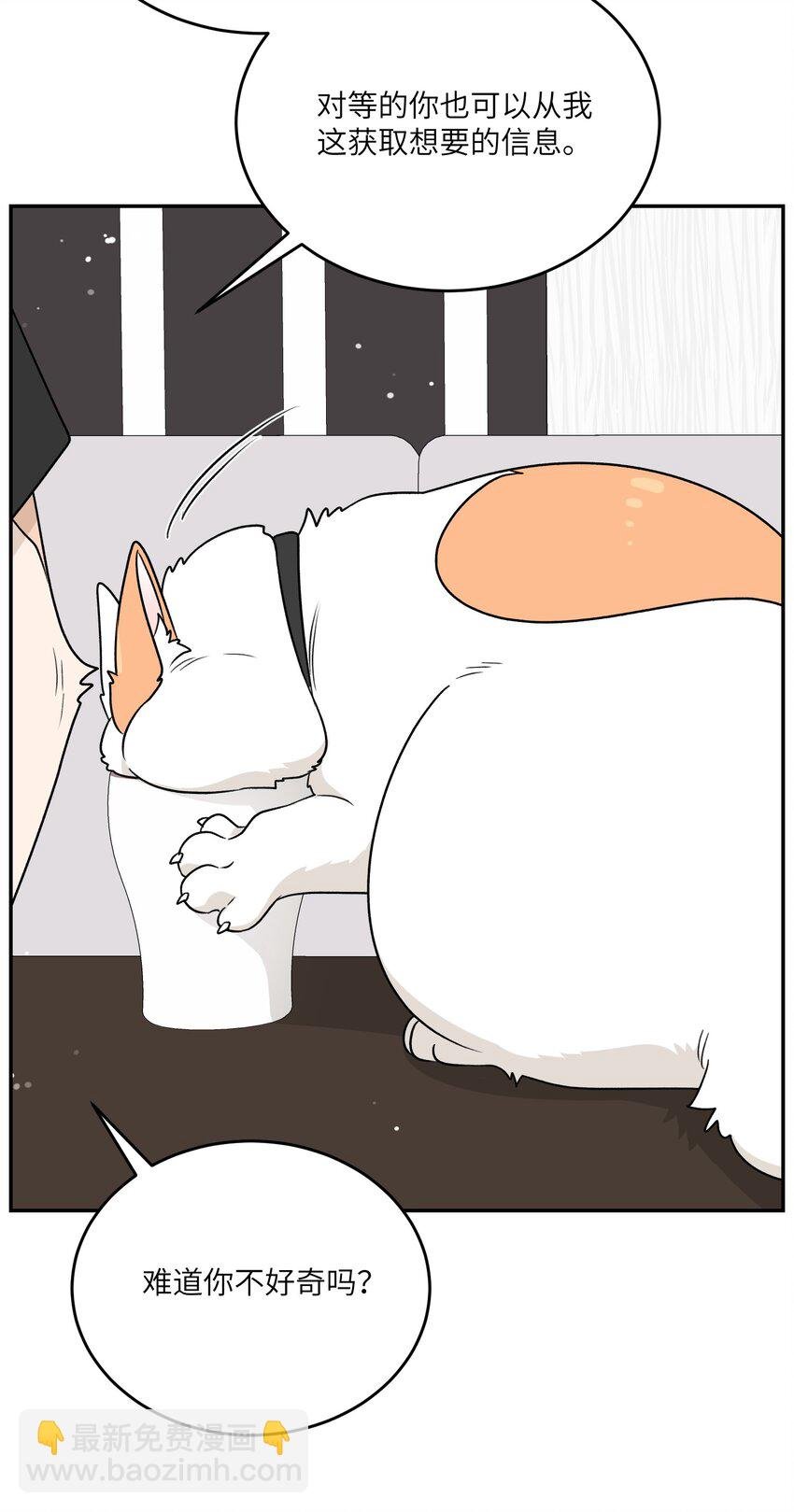 164 觉醒的方法