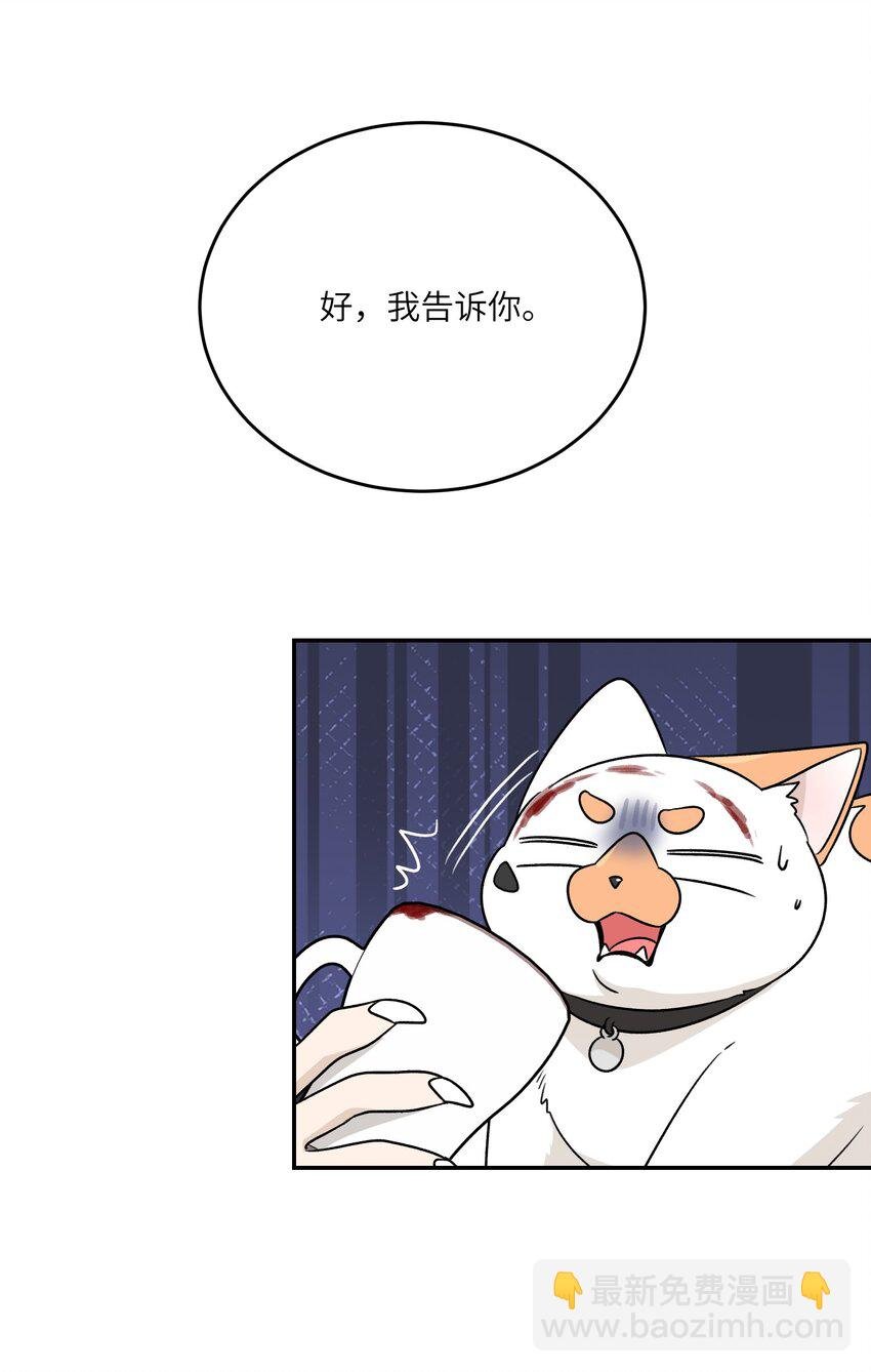 164 觉醒的方法