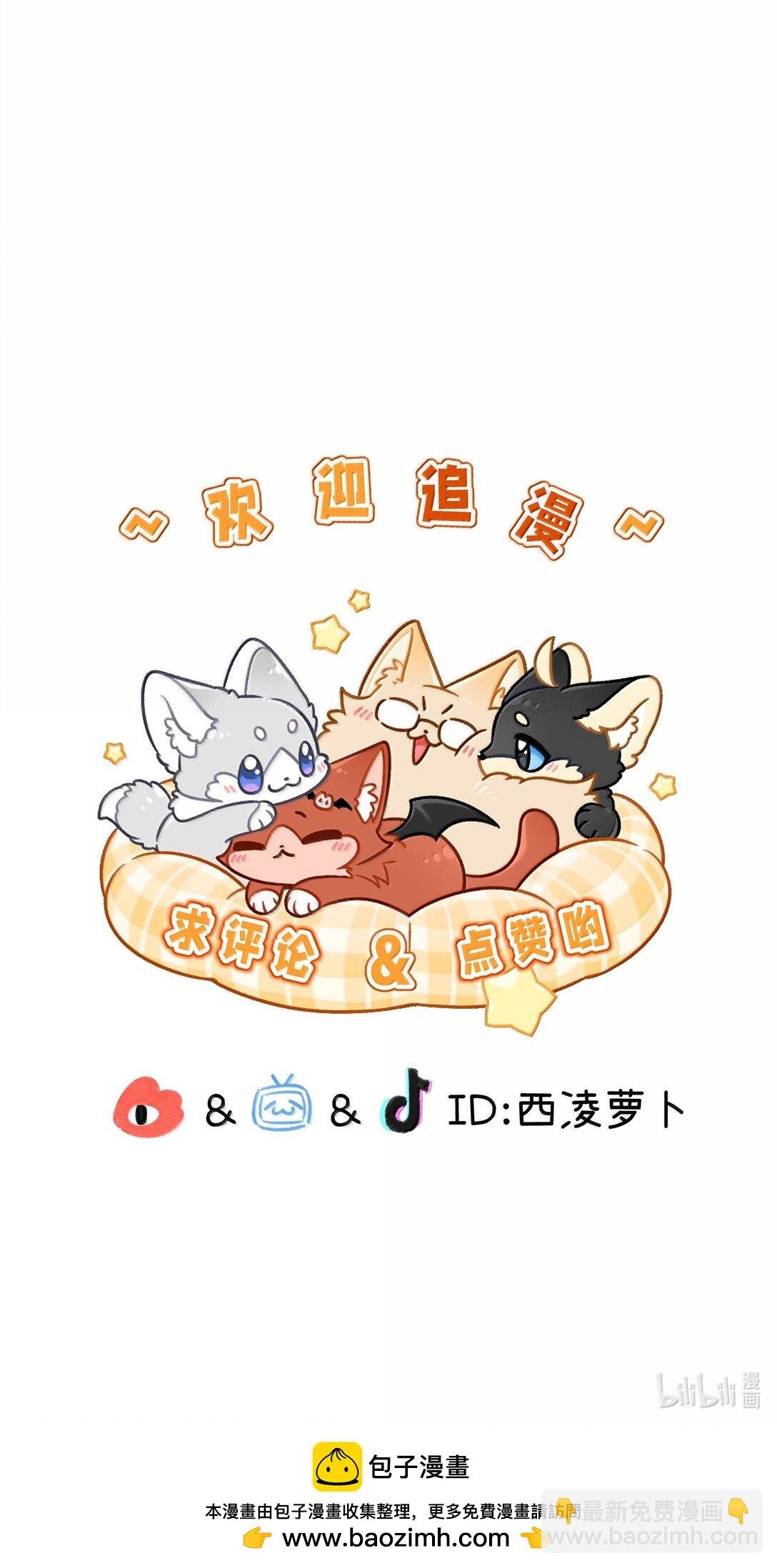 196 评估结果