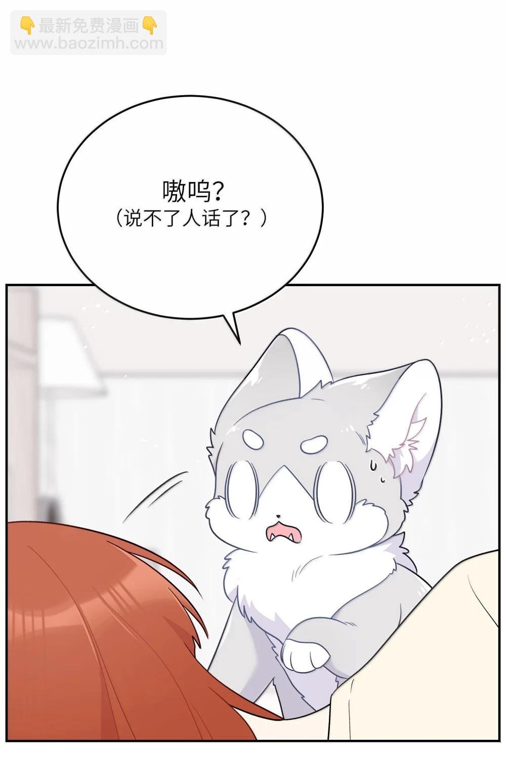 199 全新的体验（含抽奖）