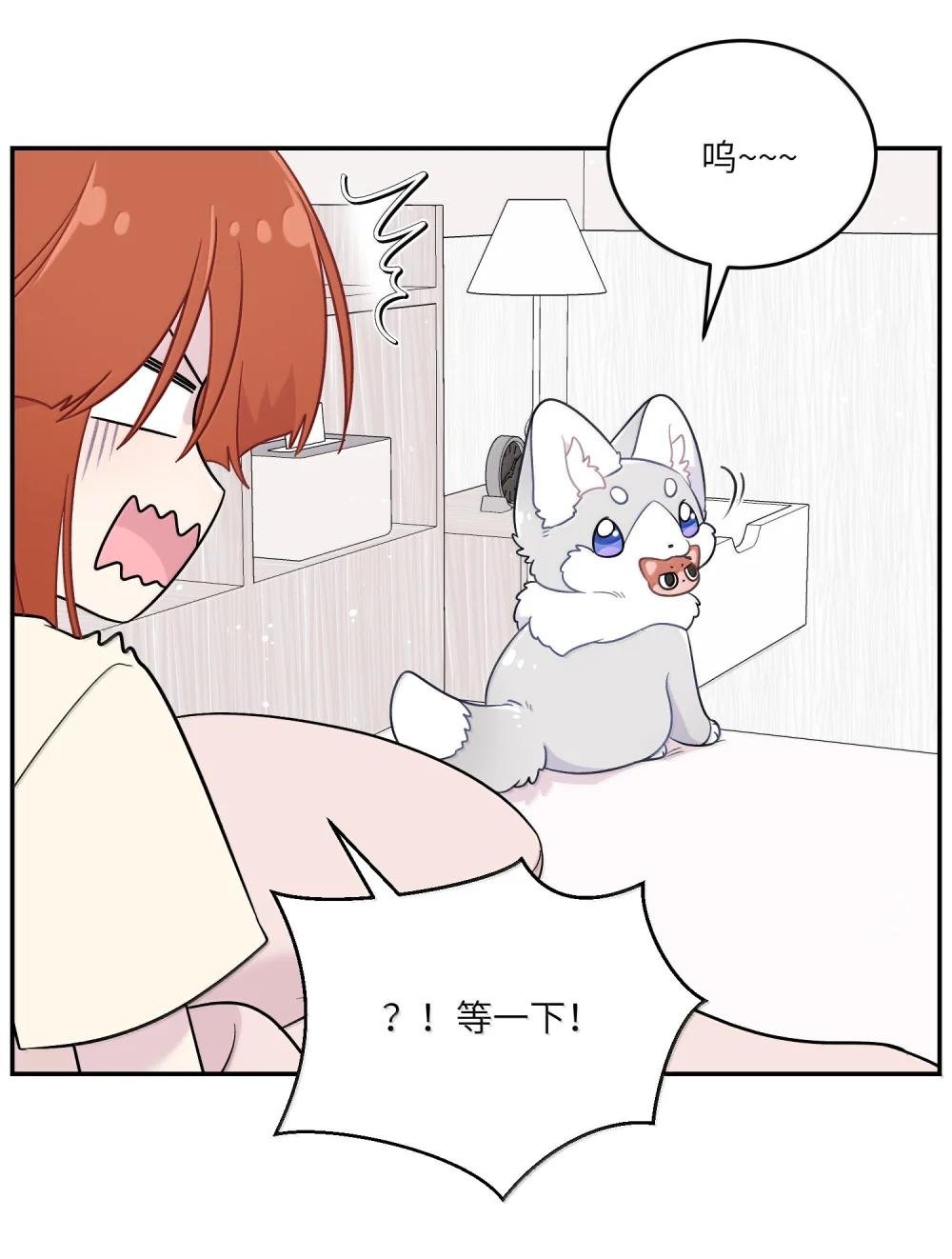 199 全新的体验（含抽奖）