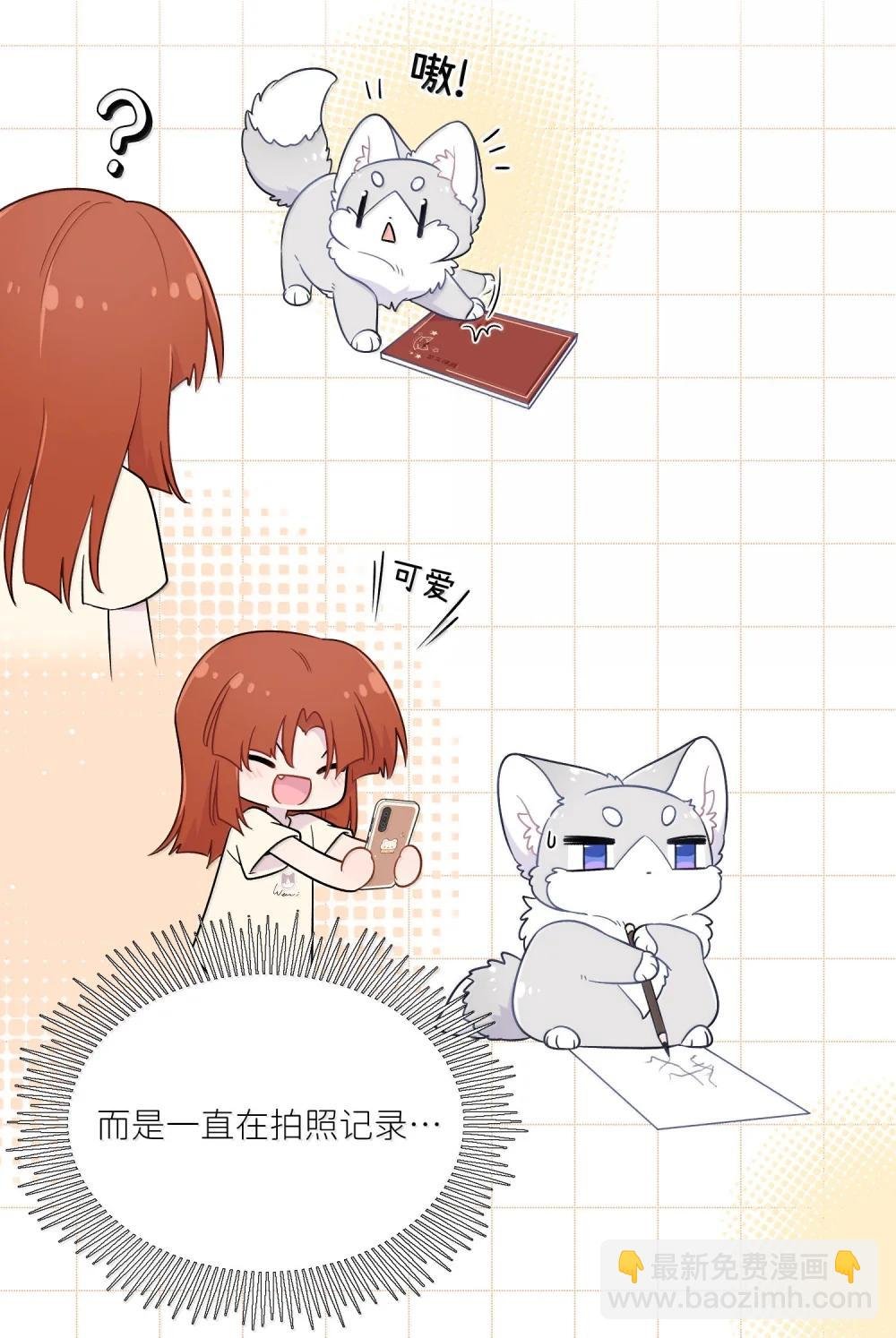200 狼崽历险记（评论抽奖）