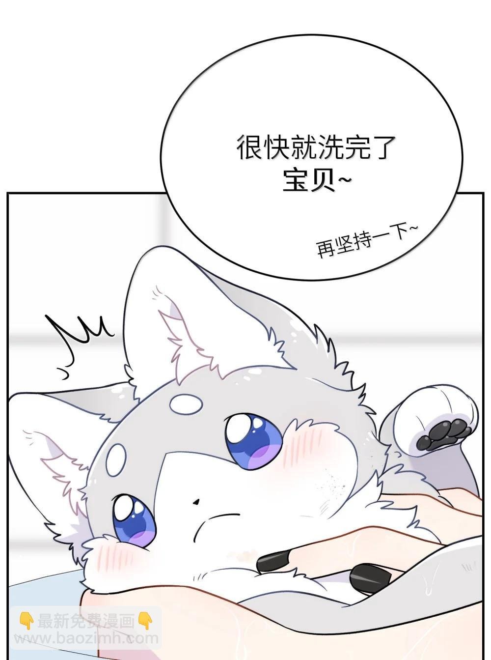 200 狼崽历险记（评论抽奖）