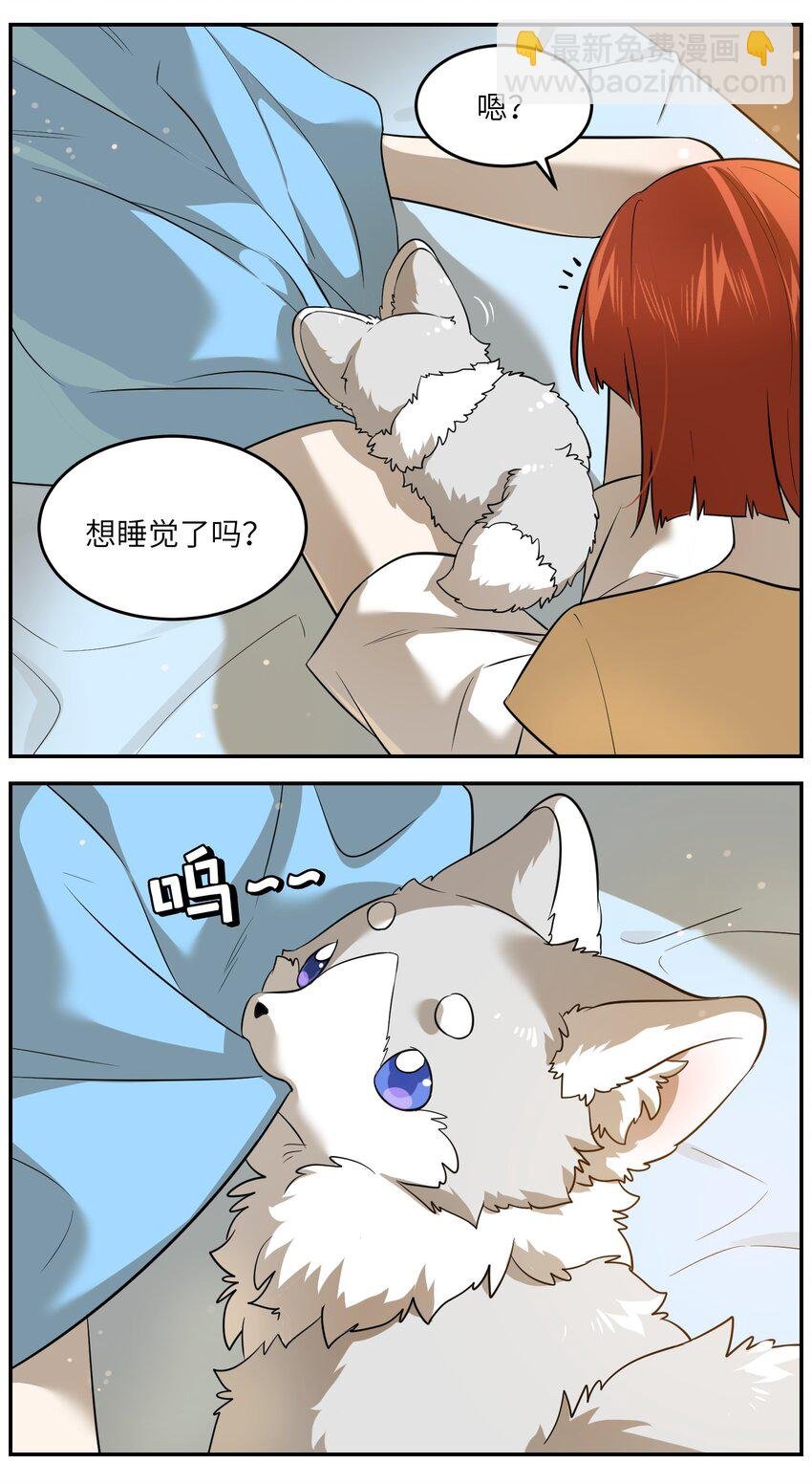 033 是小黑！
