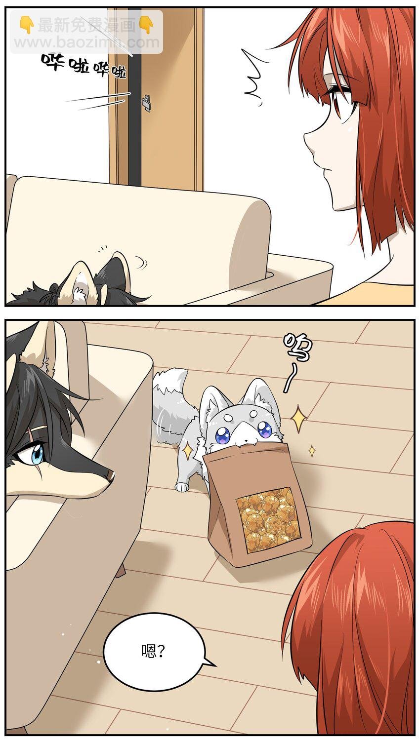 035 小可爱~