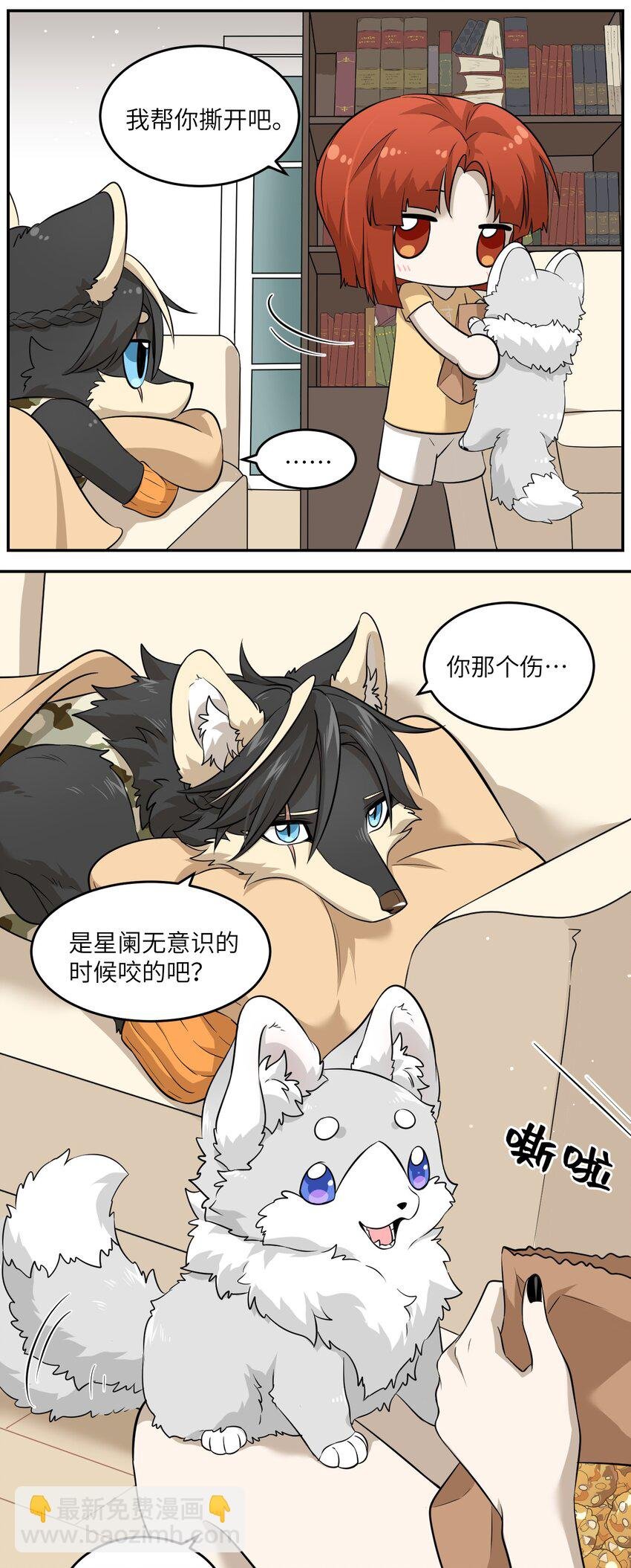 035 小可爱~