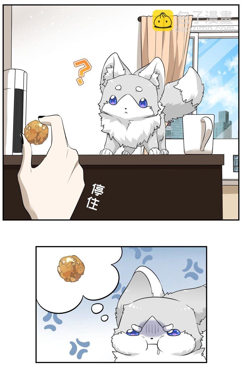 035 小可爱~