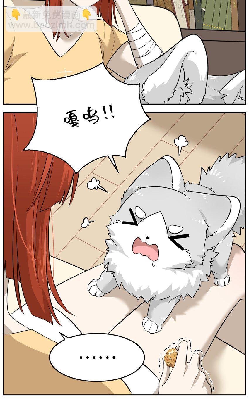 035 小可爱~