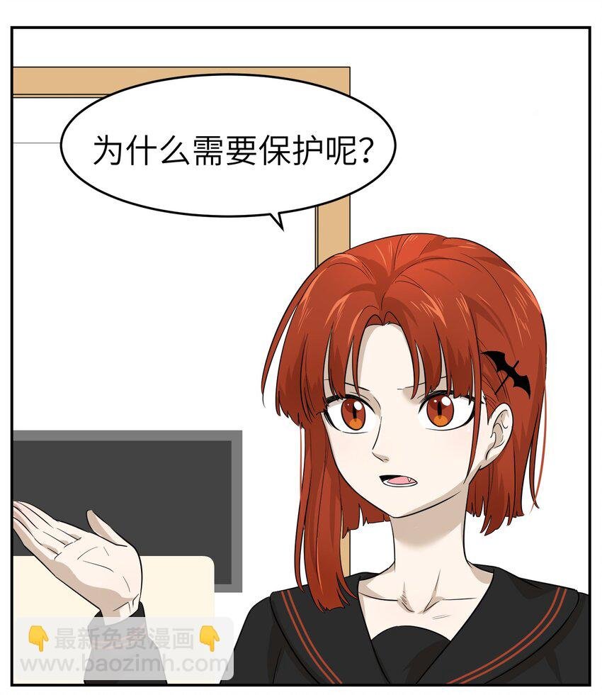 005 我曾经的故事
