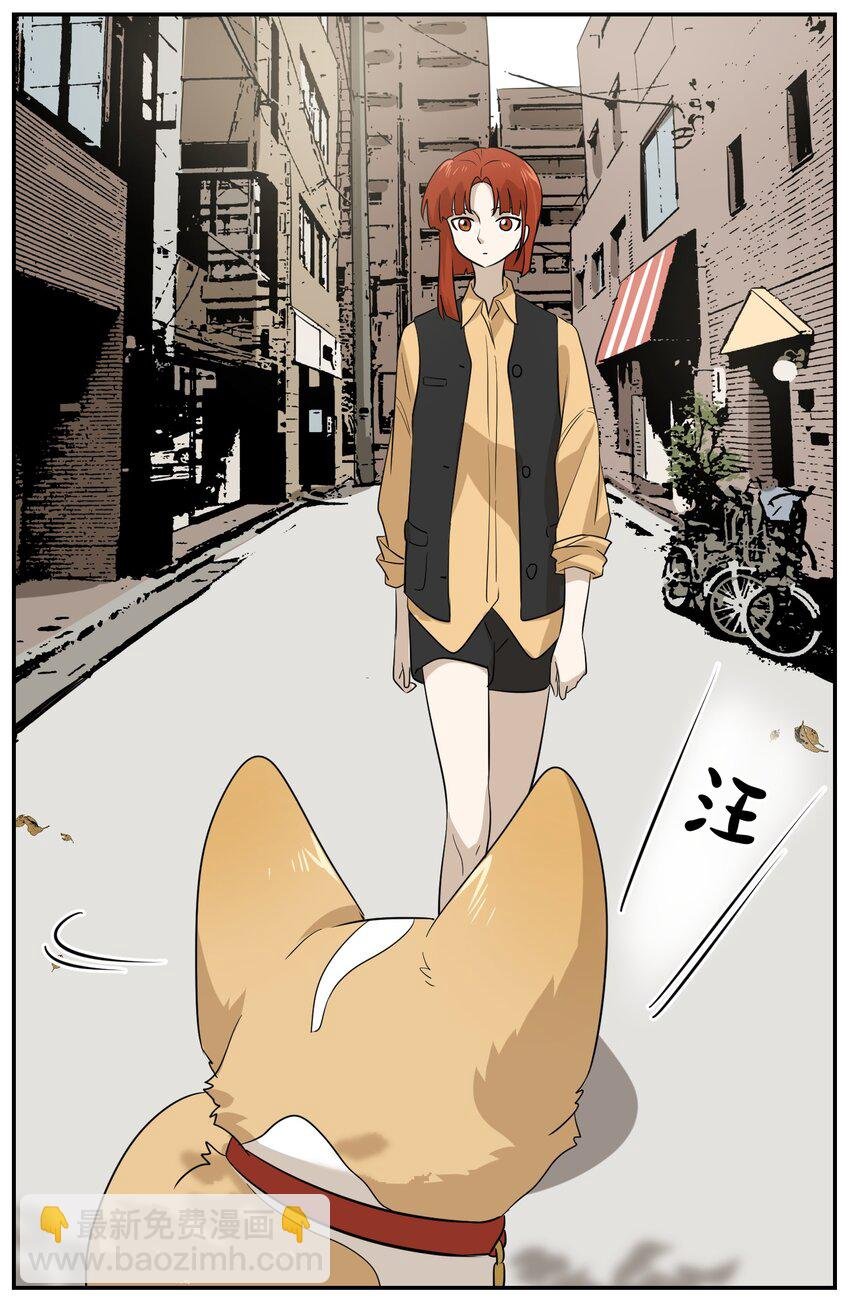 008 走散