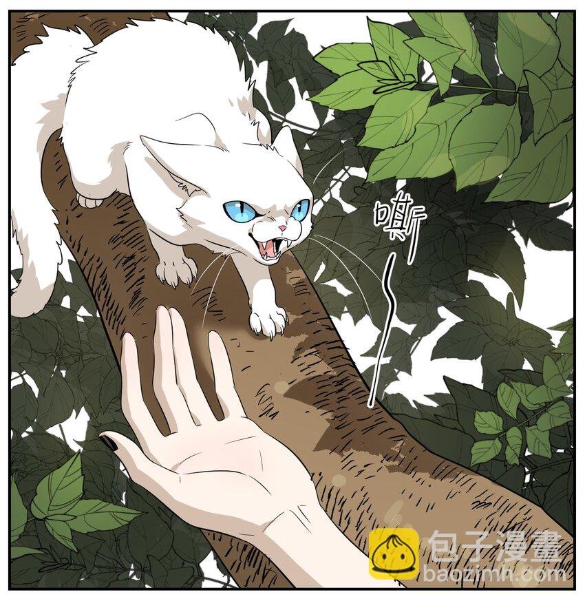 008 走散